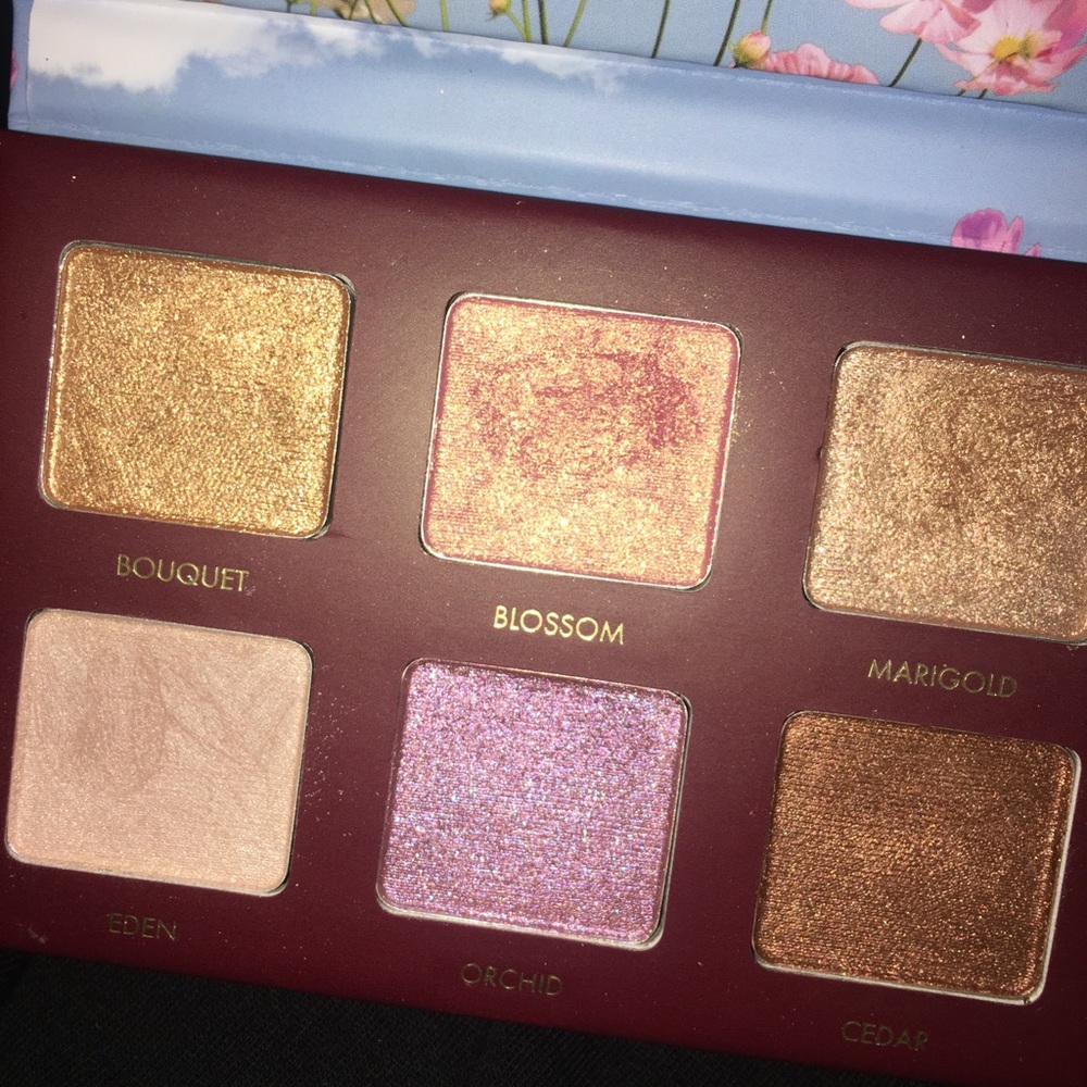 Wander Beauty Fling Pallette 😻
